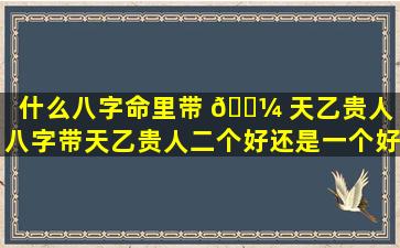 什么八字命里带 🌼 天乙贵人「八字带天乙贵人二个好还是一个好 🐧 」